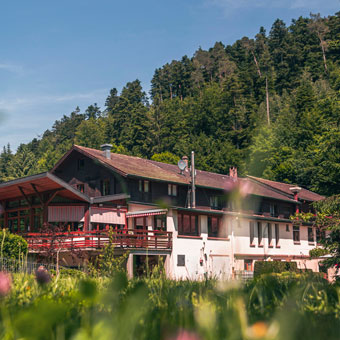 Hôtel-restaurant Au vieux moulin